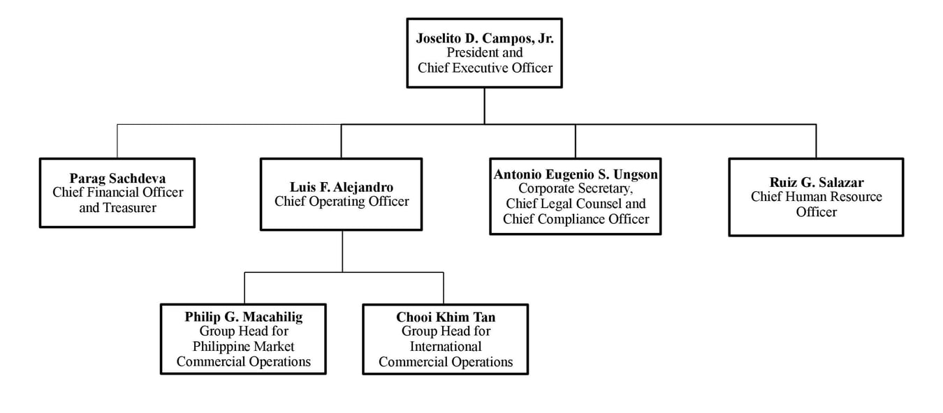Del Monte Philippines Company Structures
